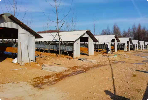 丹东顺风家庭农场有限公司